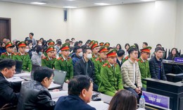 Hôm nay tuyên án các bị cáo trong đường dây sữa giả Hiup