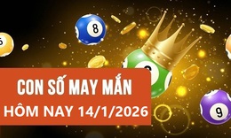 Con số may mắn hôm nay 14/1 - số tài lộc 12 con giáp ngày mới theo năm sinh