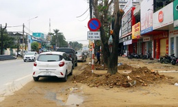 Bộ Công an đề nghị truy tố Chủ tịch Công ty Cây xanh Công Minh