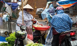 Thời tiết đầu năm 2026: Mưa lớn cục bộ kèm rét đậm rét hại, nắng nóng gia tăng từ cuối mùa xuân