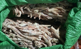 Phát hiện hơn 3 tấn chân gà đông lạnh trong bao dứa không rõ nguồn gốc