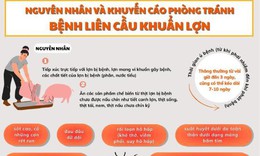 Ngành Y tế khuyến cáo thay đổi thói quen ăn uống để phòng liên cầu lợn