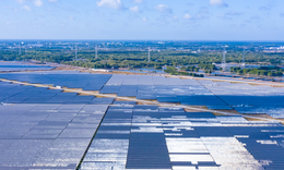 Điện mặt trời Trung Nam Trà Vinh bị phạt vì không công bố thông tin theo quy định pháp luật