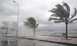 Bão xuất hiện ngay từ đầu tháng 1 có bất thường?