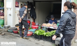 Hà Nội tạo điều kiện để tiểu thương từ 'chợ cóc' vào các chợ dân sinh