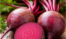 6 cách dùng củ dền hỗ trợ hạ huyết áp cao
