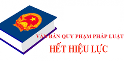 48 văn bản hết hiệu lực thuộc lĩnh vực quản lý nhà nước của Bộ Y tế