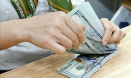 Tỷ giá hôm nay 20/1: Giá USD và NDT biến động ngược chiều