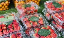 Loại quả trước đây chỉ 'nhà giàu' mới dám ăn giờ bán đầy vỉa hè giá rẻ khó tin