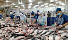 Việt Nam thu gần 2,2 tỷ USD từ xuất khẩu cá tra 2025