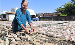 Làng nghề cá khô ven biển tăng công suất gấp 3 lần phục vụ Tết