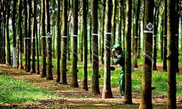 Cổ phiếu PHR được khuyến nghị mua