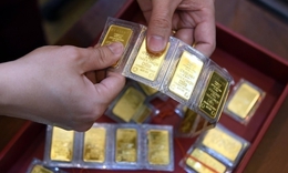 Giá vàng hôm nay ngày 22/1 đồng loạt giảm rất mạnh