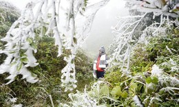 Hàng loạt tỉnh miền Bắc rét đỉnh điểm