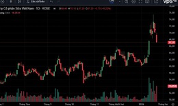 Vì sao cổ phiếu VNM bị bán tháo?