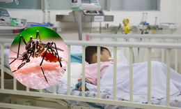 Số ca mắc sốt xuất huyết, tay chân miệng ở TPHCM giảm nhưng nguy cơ vẫn hiện hữu