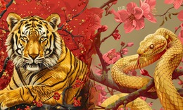 Tử vi 12 con giáp hôm nay 25/1: Mùi may mắn, Tỷ tiền bạc rủng rỉnh