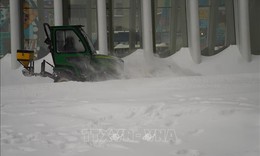 Bão tuyết lịch sử tại Mỹ: Cú sốc toàn diện từ kinh tế đến hạ tầng