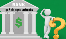 Kết luận thanh tra Quỹ Tín dụng Nhân dân Phường 3, tỉnh Vĩnh Long