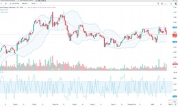 Agriseco khuyến nghị mua đối với cổ phiếu DBC và GVR