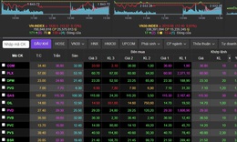 Chứng khoán tiếp tục 'bốc hơi' 13,22 điểm, cổ phiếu dầu khí đua trần