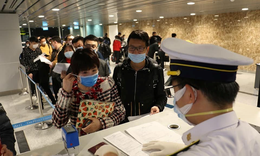 Đà Nẵng chủ động giám sát, phòng chống bệnh do virus Nipah