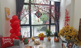 Gói bánh chưng, mua đào từ sớm: Phong cách đón xuân mới của một bộ phận người trẻ