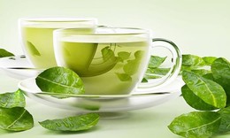 Nâng cao sức khỏe từ tách trà ngày Tết