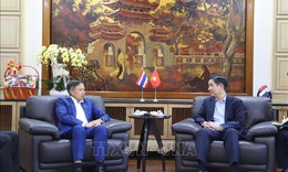 Vạch ra đường hướng chính sách và quyết tâm phát triển rất cao của Việt Nam