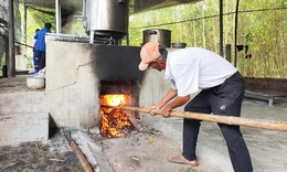 Về đất Quảng xem nấu đường thủ công, nhớ vị Tết xưa