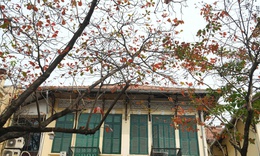 Miền Bắc nắng mạnh, nhiệt tăng trước khi đón không khí lạnh