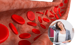 5 thói quen hàng ngày bảo vệ động mạch khỏi xơ vữa