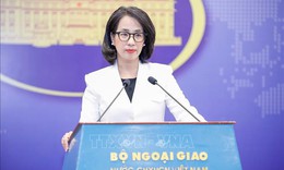 Việt Nam quan ngại sâu sắc về thông tin liên quan đến tình hình hiện nay ở Venezuela