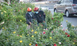 TP Hồ Chí Minh: Tái hiện không gian Tết sông nước với chợ hoa xuân 'Trên bến dưới thuyền'