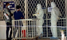 WHO: Nguy cơ lây lan virus Nipah tại Ấn Độ ở mức thấp