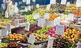 Một loại cam Việt đổ đống bán đầy chợ giá rẻ hơn rau, chỉ vài nghìn đồng/kg nhưng rất thanh mát, bổ dưỡng