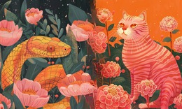 Tử vi 12 con giáp hôm nay 6/1: Mão rối rắm, Thân tài lộc cải thiện