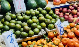 Một loại cam Việt giúp tăng đề kháng đang bán đầy chợ giá chỉ vài nghìn đồng/kg