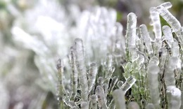 Băng giá phủ trắng đỉnh Phia Oắc ở Cao Bằng