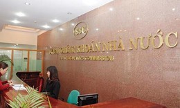 Sunrise Power Đăk Psi bị xử phạt 