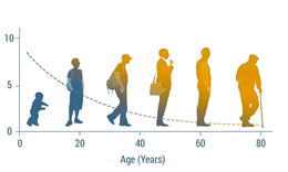 NMN: nền tảng sức khỏe theo góc nhìn khoa học