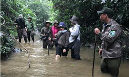 Nhân nuôi loài gà quý hiếm có nguy cơ tuyệt chủng trong tự nhiên