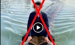 Cái kết của người đàn ông dùng AI tạo ảnh cưỡi trăn khổng lồ bơi trên hồ Hoàn Kiếm