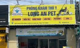 Chung tay đẩy lùi bệnh dại với chương trình tri ân cùng Phòng khám Thú Y Long An Pet