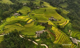 Mãn nhãn ruộng bậc thang Nấm Dẩn chuyển sắc vào mùa lúa chín