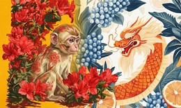 Tử vi 12 con giáp hôm nay 2/10: Tuất gặt quả ngọt, Dần cải thiện tài chính