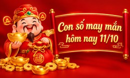 Con số may mắn 11/10 - số tài lộc 12 con giáp theo năm sinh