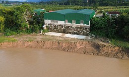 Sông Lam 'nuốt' đất vườn, áp sát nhà dân