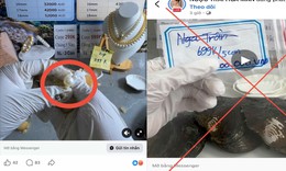 Chiêu trò livestream ‘mở ngọc trai’: Hứa lãi tiền tỷ, coi chừng sập bẫy mất trắng