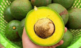 8 thực phẩm giúp chị em chăm sóc làn da mùa hanh khô